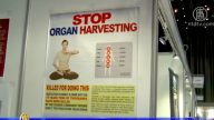 哥本哈根医生日展览 吁停止活摘器官