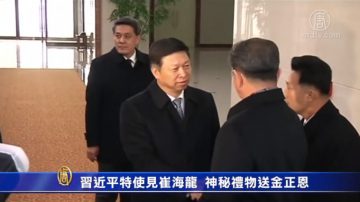 习近平特使见崔龙海 神秘礼物送金正恩