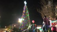 法拉盛聖誕樹點燈 照亮節慶之夜