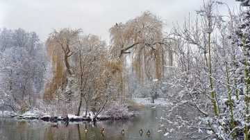 時候頻過小雪天 養藏適度人得安