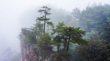 宋朝隱士邵康節 勸友莫隱退山林