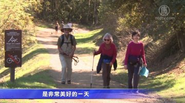 不购物去休闲！ 湾区启动“绿色星期五”