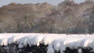 英国普降大雪 联赛暂停 周日降雪预警