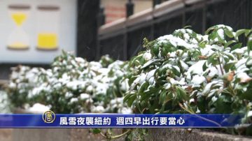 风雪夜袭纽约 周四早出行要当心