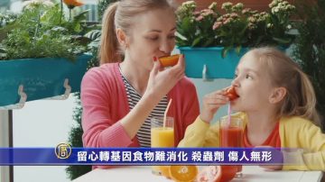 留心转基因食物 “难消化”“杀虫剂”伤人无形