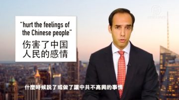 【中国解密】谁“伤害了中国人民的感情”？