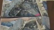山東男1500元購2條鱷魚 貨到竟是「紙鱷」