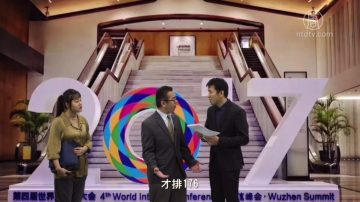 【严真点评】雷人往事：乌镇大会——低端组织大会？