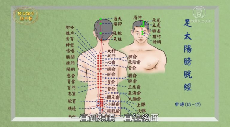 談古論今話中醫：打通經絡百病消（七）膀胱經