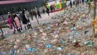 主打「親密接觸」 奇葩蝴蝶展讓國人傻眼了