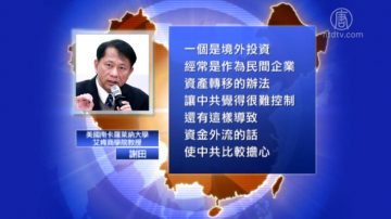 【禁聞】中共出台民企海外投資規範 專家析因