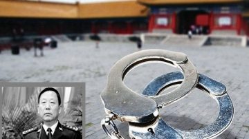 北京打虎首开杀戒 2017年39名大老虎获刑1人处死