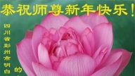 大陆百姓恭祝李洪志大师新年好(26条)