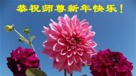 乡村大法弟子恭祝李洪志大师新年好(28条)