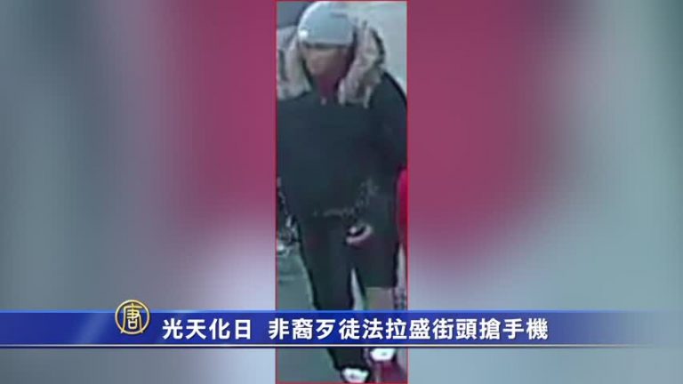 光天化日 非裔歹徒法拉盛街頭搶手機