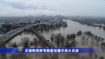 1月3日湾区简讯