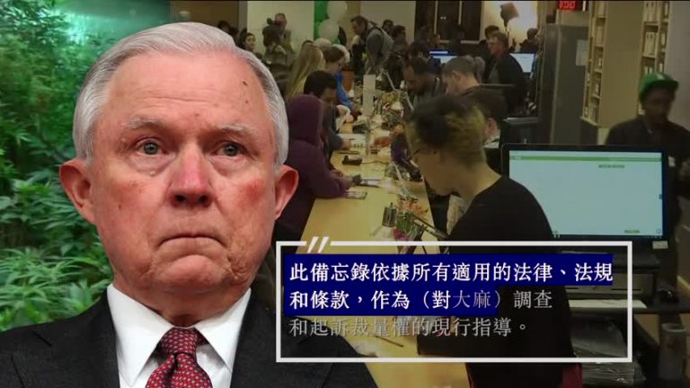廢除奧巴馬方針 打擊大麻氾濫 聯邦加強全國監管
