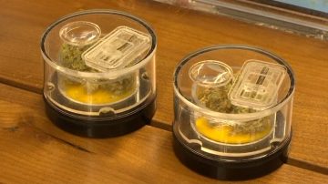 联邦严整大麻 加州从业者或遭严厉处罚