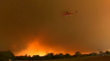 澳洲纽卡斯尔爆发林火 机场被迫关闭