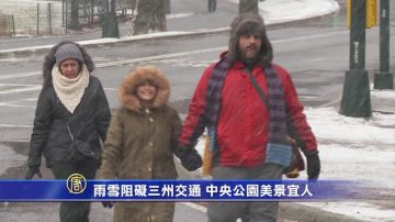 雨雪阻礙三州交通 中央公園美景宜人