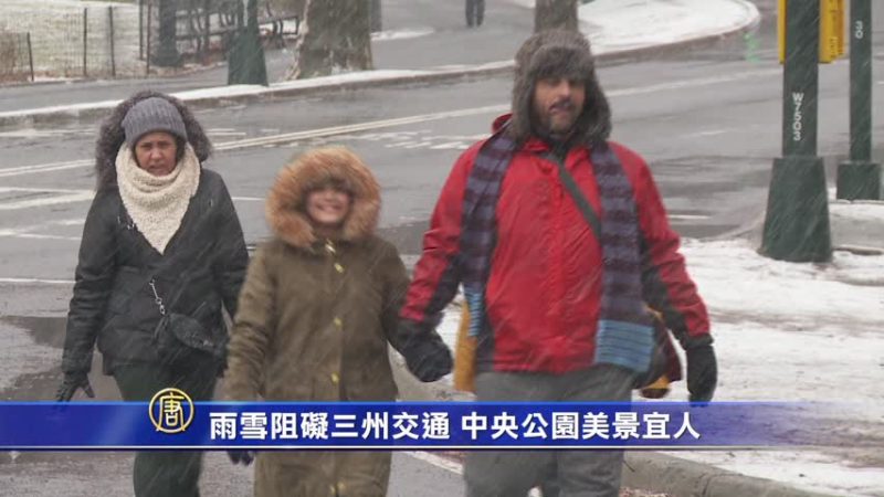 雨雪阻礙三州交通 中央公園美景宜人