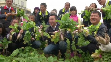 千人拔蘿蔔 體驗「一日農夫」親子同樂