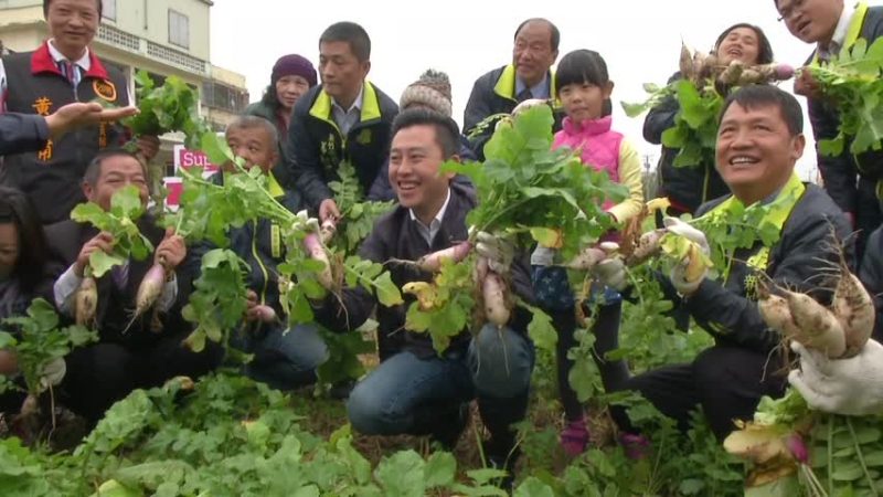 千人拔萝卜 体验“一日农夫”亲子同乐