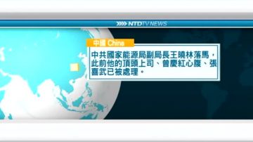 1月23日国际重要讯息