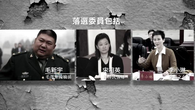 【禁闻】中共政协大换血 落选委员受关注