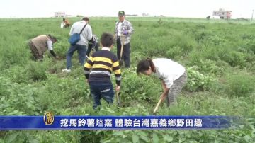 挖馬鈴薯焢窯 體驗台灣嘉義鄉野田趣