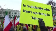 海外伊朗人声援国内抗议活动