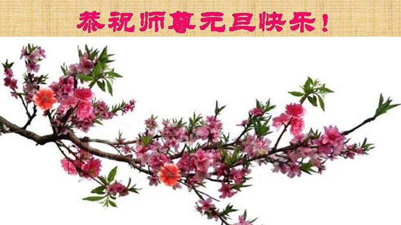 教育系统法轮功学员恭祝李洪志大师新年好