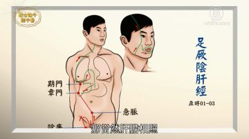 谈古论今话中医：打通经络百病消（十一）肝经