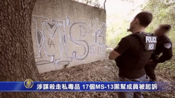 涉謀殺走私毒品 17個MS-13黑幫成員被起訴