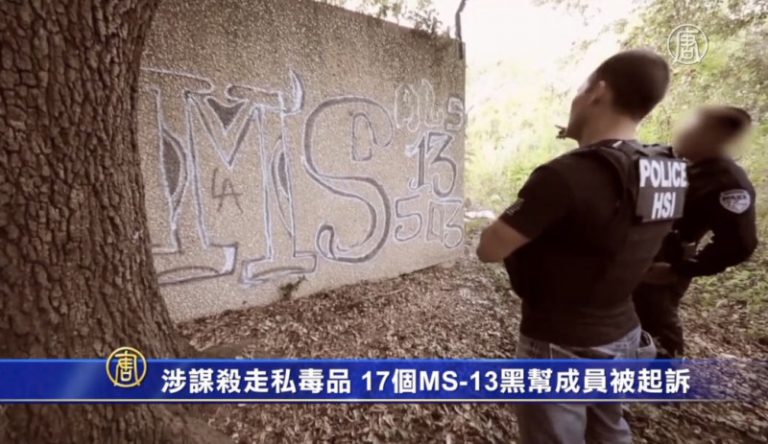 涉謀殺走私毒品 17個MS-13黑幫成員被起訴