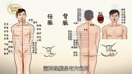 谈古论今话中医：打通经络百病消（十二）任脉/督脉
