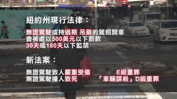 無照駕駛釀慘劇 紐約議員再籲加強處罰