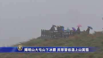 陽明山大屯山下冰霰 民眾冒低溫上山賞雪