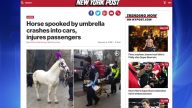 紐約觀光馬車受驚暴走 嚇壞乘客撞壞車