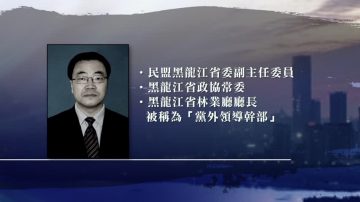 黨外官員腐敗 黑龍江林業廳長被查