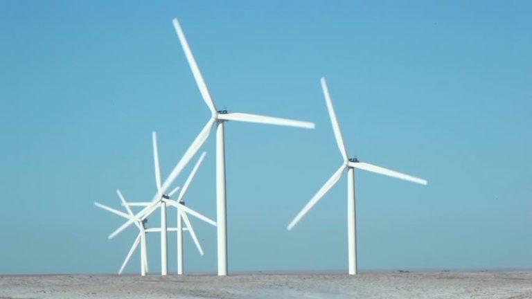 等待審核 大型風力發電廠待建