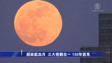 超级蓝血月 三大奇观合一 150年首见　