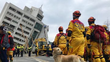 出差遇地震 倖存者：到處救命聲 一則手機訊息救了他