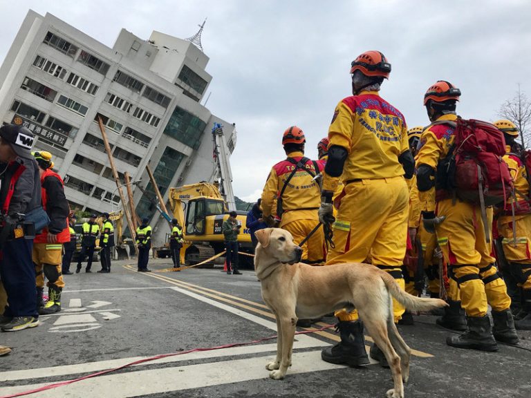 出差遇地震 倖存者：到處救命聲 一則手機訊息救了他