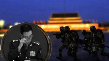 北京反腐变调？打“死虎”过年 只有“长龙”隐现