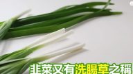 清肠道消疲劳 韭菜的功效太棒了（视频）