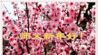 教育系统法轮功学员恭祝李洪志大师新年好