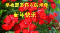 吉林省法轮功学员恭祝李洪志大师新年好