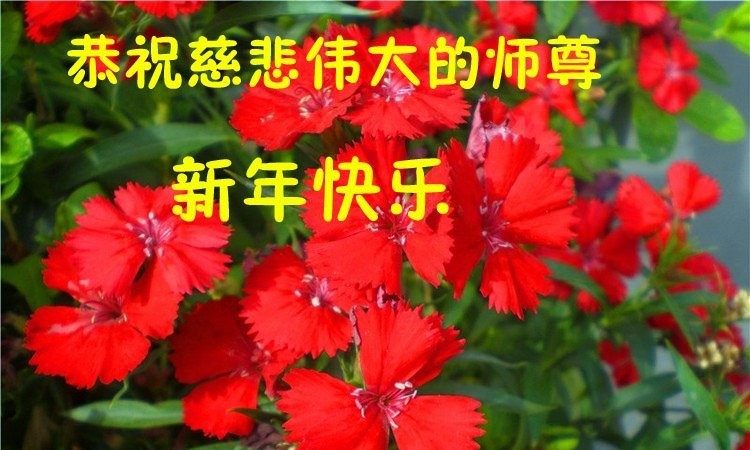 吉林省法輪功學員恭祝李洪志大師新年好