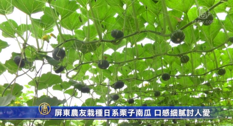 2月11日環球財經簡訊